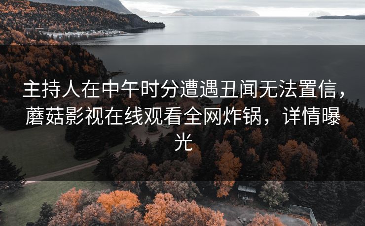 主持人在中午时分遭遇丑闻无法置信,蘑菇影视在线观看全网炸锅,详情曝光
